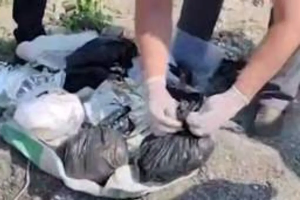 В Фарғонаде обнаружена почти 6 кг наркотических средств, спрятанных в мешке