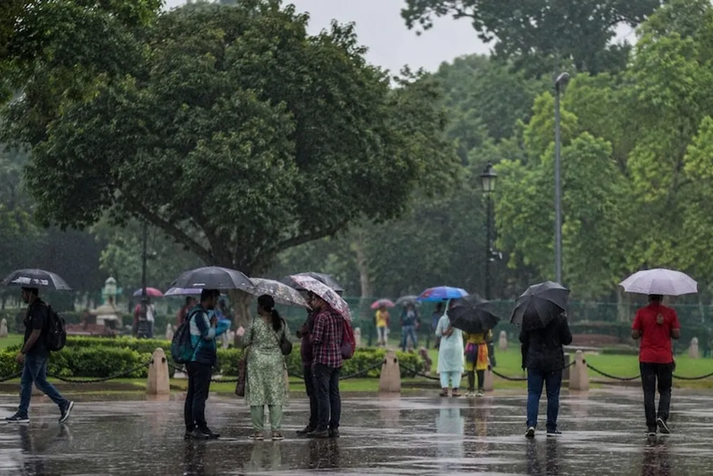 Improvement in Rainfall Situation Observed in July Despite El Niño