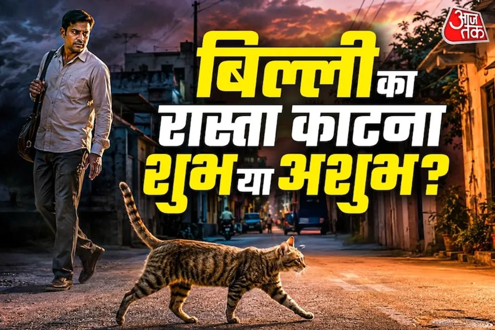 शाकुन शास्त्र में बिल्ली द्वारा रास्ता पार करने का क्या अर्थ है: शुभ या अशुभ संकेत?
