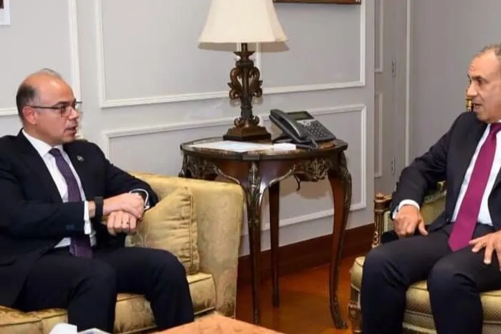 Ministro das Relações Exteriores pede criação de órgão para coordenar investimentos egípcios na África