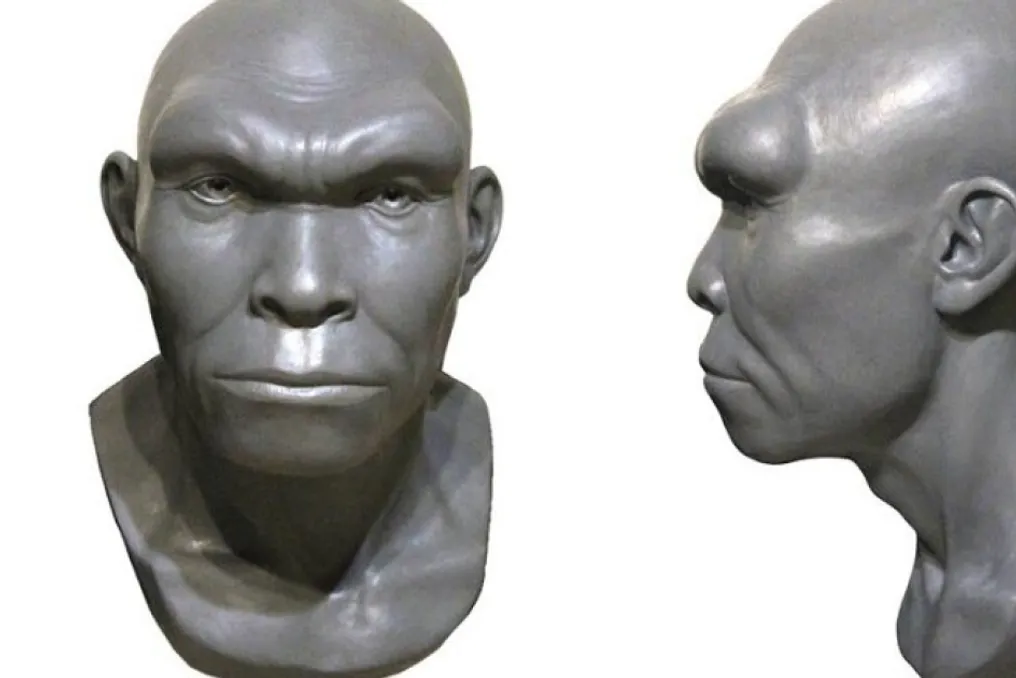 Russian Anthropologists Reconstruct the Appearance of the Bodo Human Based on Paleoanthropological Data