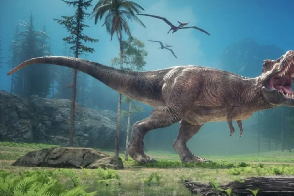Fósseis revelam que filhotes de T. rex eram pequenos e nasciam em grandes ninhadas
