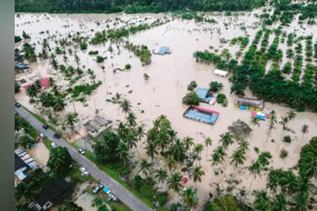 Investors Prepare for Climate 'Black Swan' Risks Due to Threat of Critical Thresholds