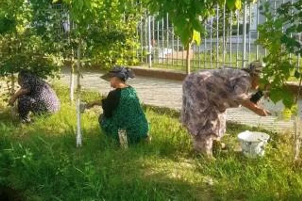 К 35-летию независимости Узбекистана проводятся работы по благоустройству и укреплению единства