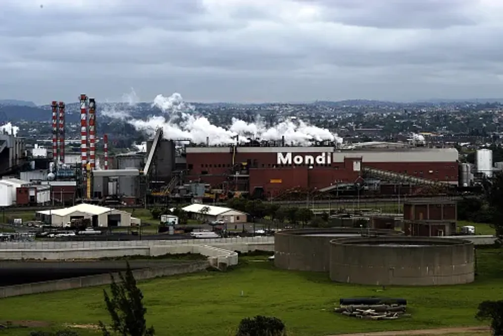 Dividendo da Mondi cai devido ao aumento dos custos e queda nos preços