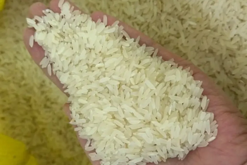 Arroz de Khorezm recebe status de indicação geográfica