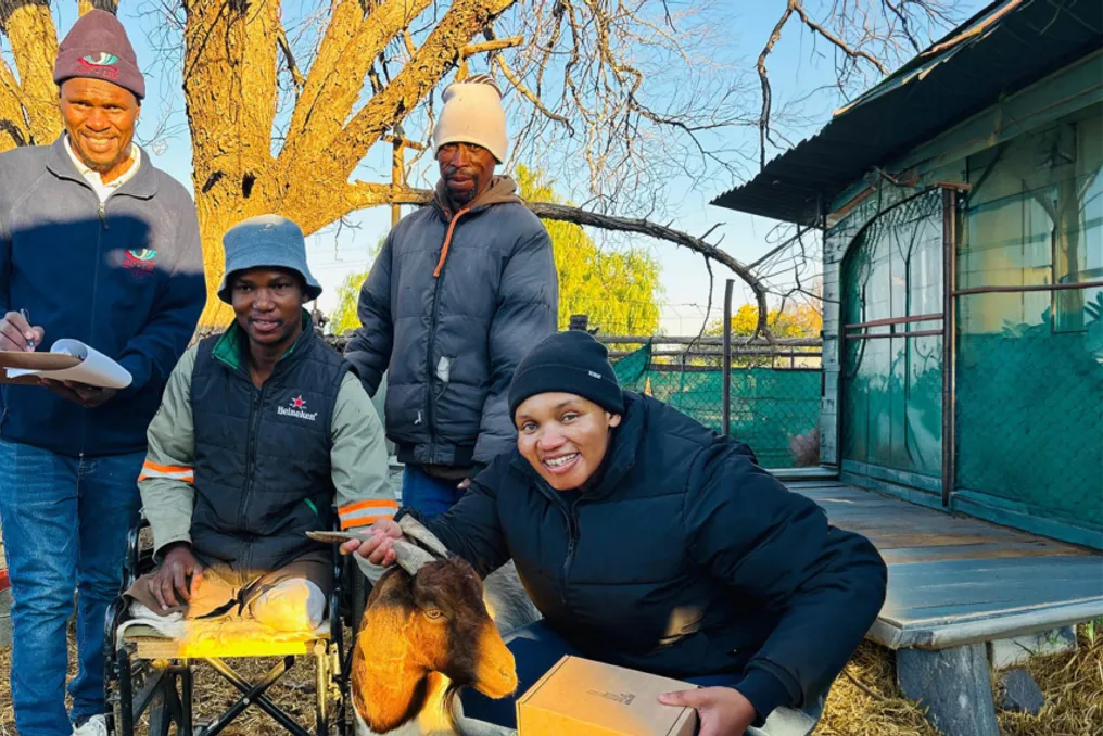 Projeto DairyRise demonstra o crescimento da agricultura inclusiva na África do Sul