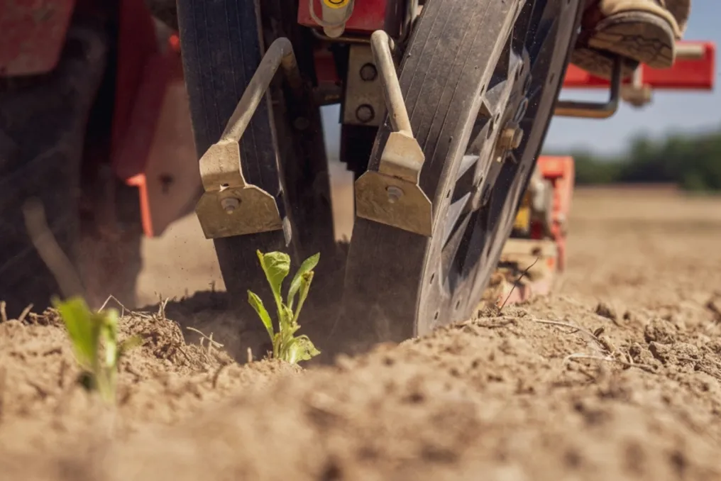 Practical application of agricultural technologies increases the efficiency and profitability of farms