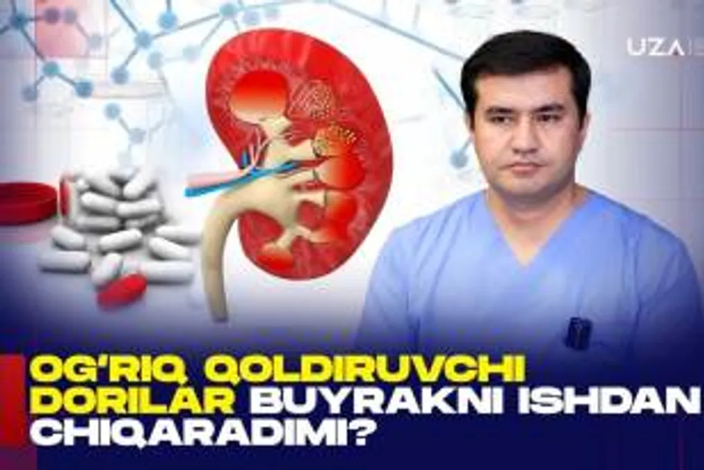 Как летняя жара влияет на почки: статистика и причины роста заболеваний