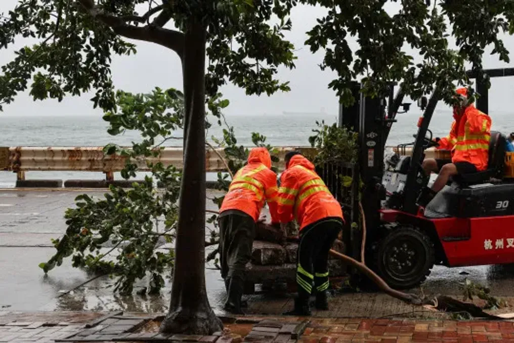 China maintains alerts due to possible approach of Typhoon Dolphin