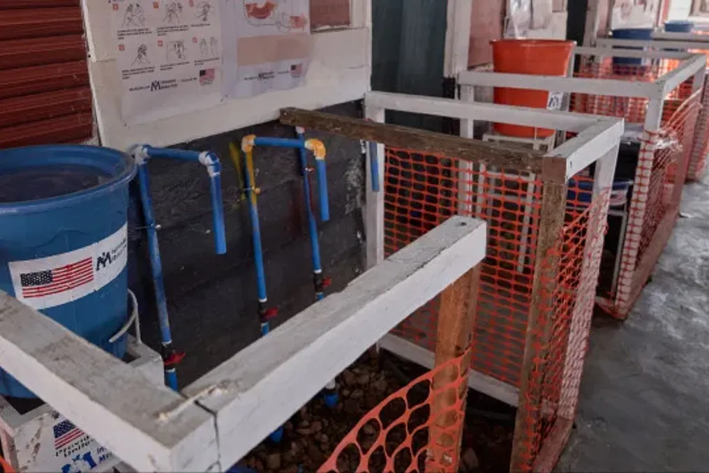 Ebola virus circulated in DRC four months before the official declaration of the epidemic