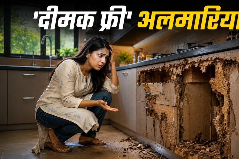 How to choose cabinet materials: 4 alternatives to wood resistant to termites