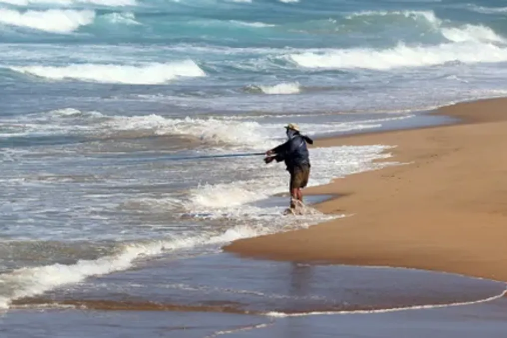 Guidelines for Action Upon Discovery of Dead Fish on West Cape Beaches