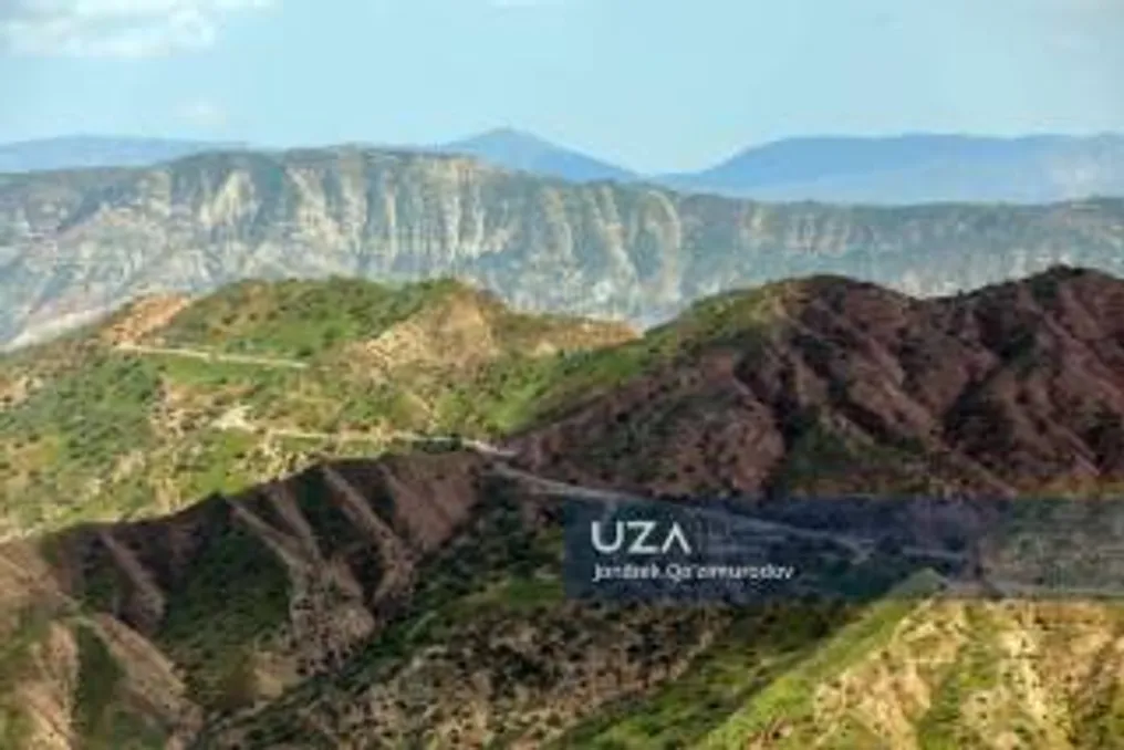 Прогноз погоды на 15 августа: в Ташкенте ожидается облачность и сильный ветер