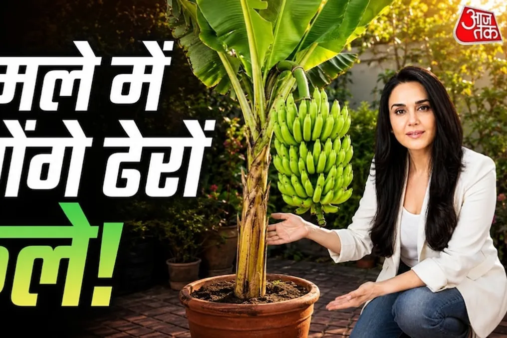 Expert shares two secrets to growing bananas at home for sweet fruit