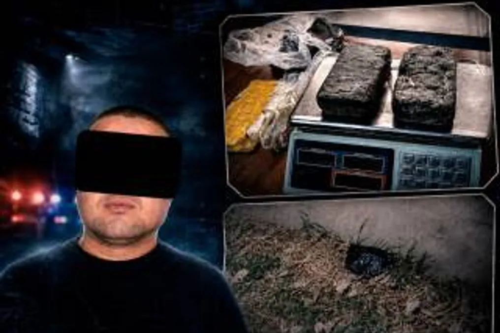 Quase 2 kg de substância classificada como 'hashish' apreendidos em Andijon