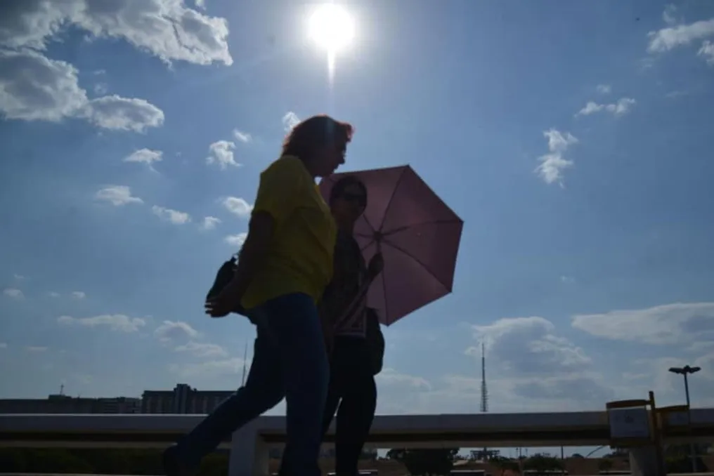 Frente fria avança e prevê queda de temperatura, risco de geada e ventos fortes no fim de semana