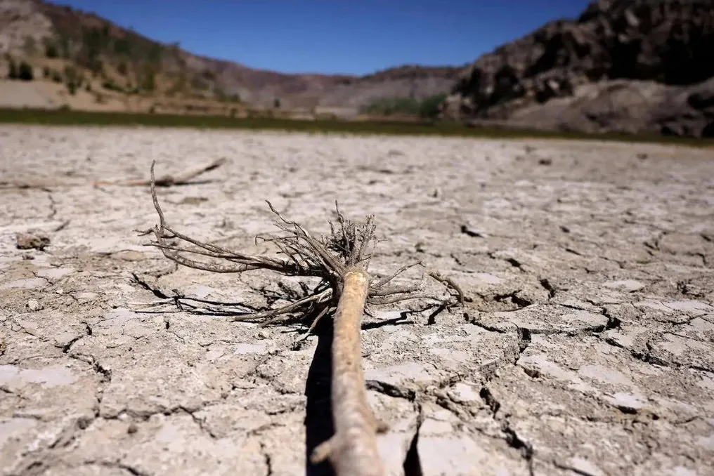 Nova arquitetura global para aumentar a resiliência à seca foi lançada na reunião da UNCCD