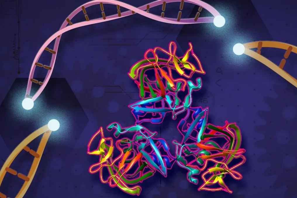 Результаты годового наблюдения показали устойчивость CRISPR-терапии при лечении неконтролируемой дислипидемии
