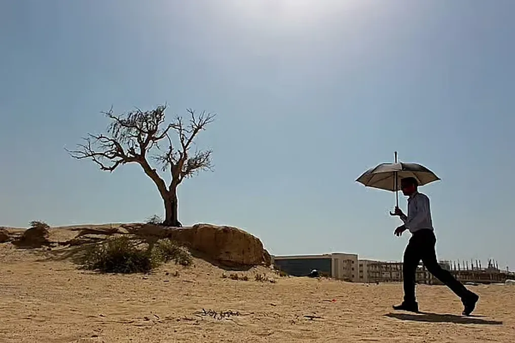 BAAʼda harorat 29-avgustda 50°C ga yetdi, Suhayl yulduzi chiqishidan besh kun oʻtgach