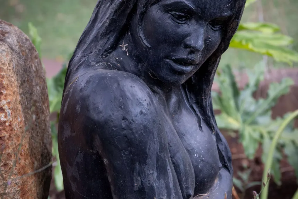 Review of Iconic Sculpture Gardens in South Africa
