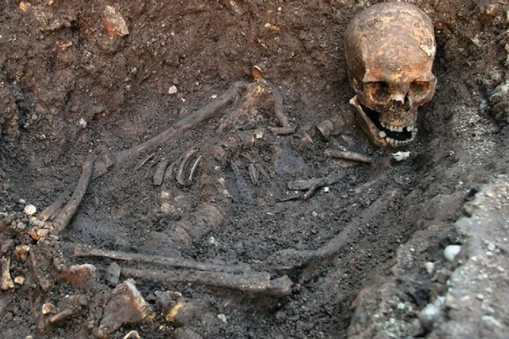Geneticists sequenced DNA from the dental plaque of King Richard III