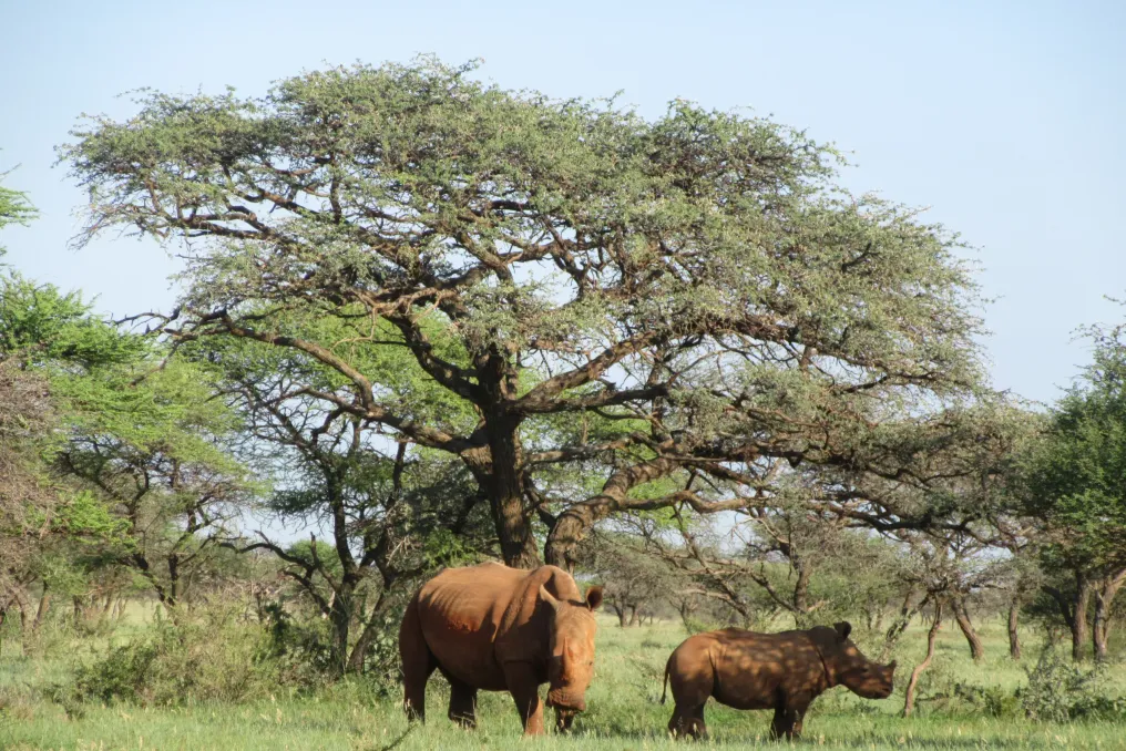 Semana de entrada gratuita em parques nacionais pouco conhecidos na África do Sul de 7 a 13 de setembro de 2026