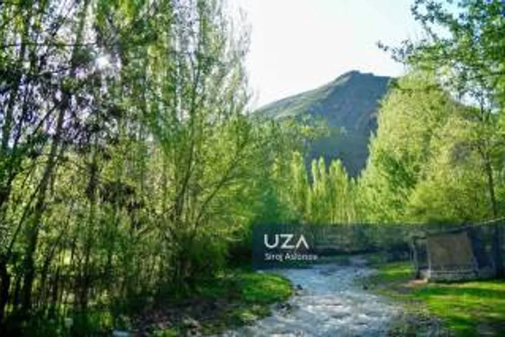 Weather forecast for September 10: Cloudiness and heat expected in Tashkent