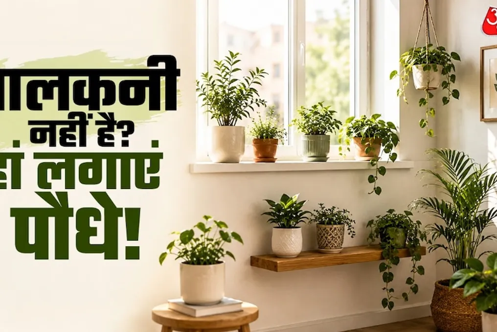 How to green up your home if you don't have a balcony: 5 places to plant plants
