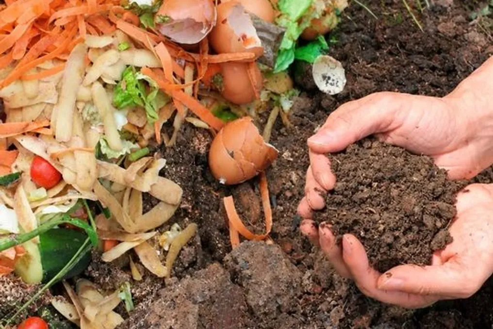 Como transformar cascas, folhas de chá e outros resíduos em composto nutritivo em casa