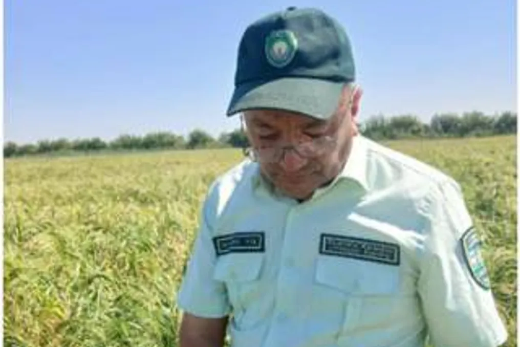 Предпринимателям не будут создавать препятствий, надзорные органы будут привлечены к ответственности