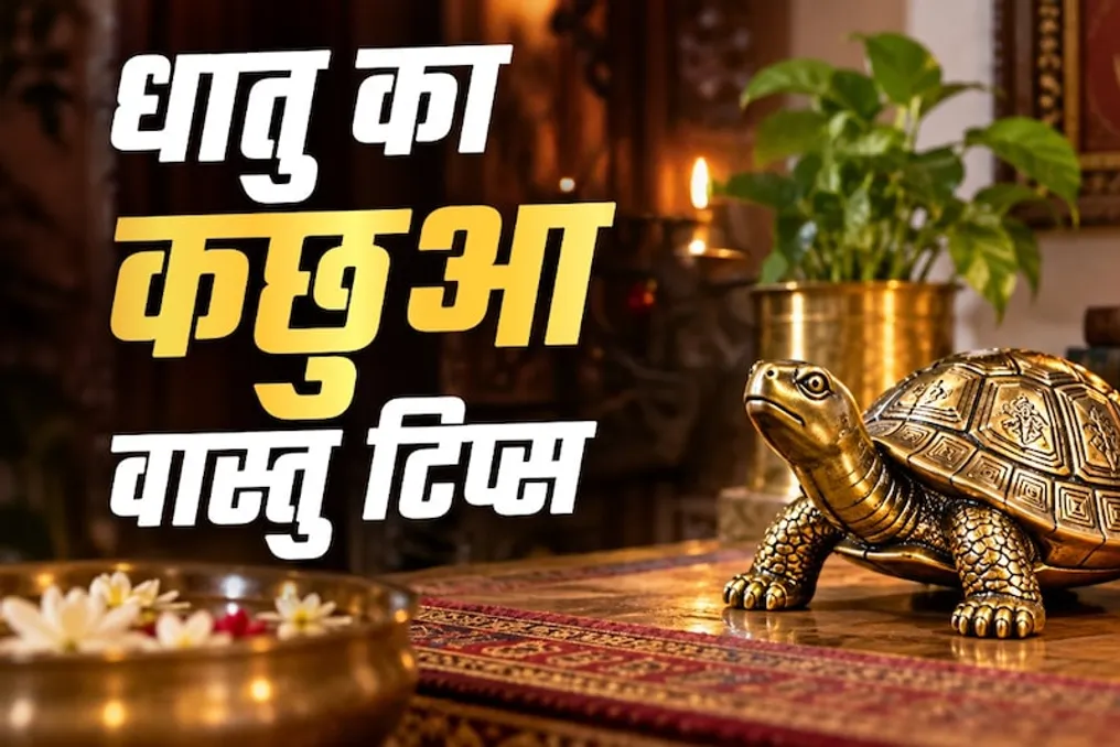 Vastu Rules for Placing a Metal Turtle: How to Avoid Financial Losses
