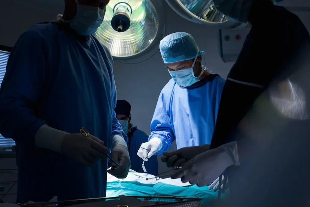 भारत के अस्पताल में ज़ेनोट्रांसप्लांटेशन विभाग खोला गया, मनुष्यों को सूअर के गुर्दे प्रत्यारोपित होने की उम्मीद
