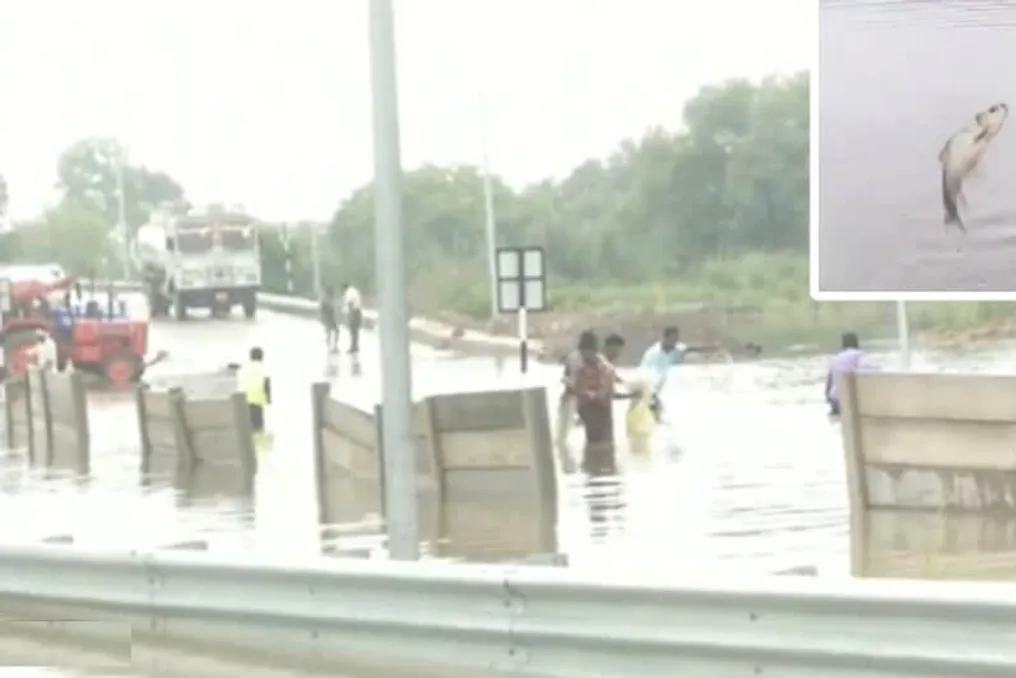 Na Ganga Expressway, construído por 36 mil crores de rupias, formou-se um corpo d'água devido às chuvas, e as pessoas começaram a pescar