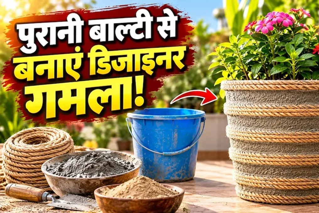 सीमेंट और रस्सी की मदद से पुराने बाल्टी से डिजाइनर गमला कैसे बनाएं