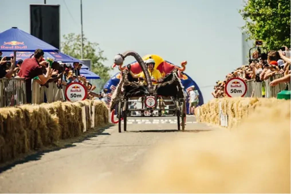Informações Detalhadas sobre a Corrida Red Bull Box Cart Race na Sandton Drive
