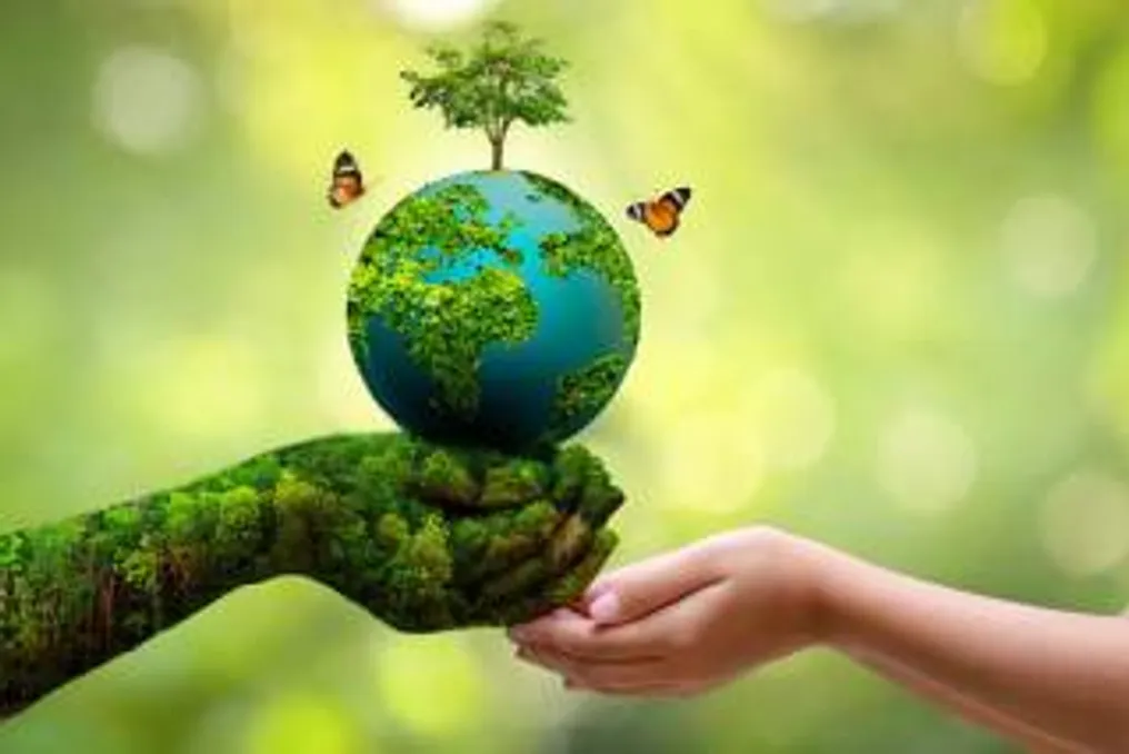 The Relevance of Conducting Environmental Audits Amid Global Environmental Problems