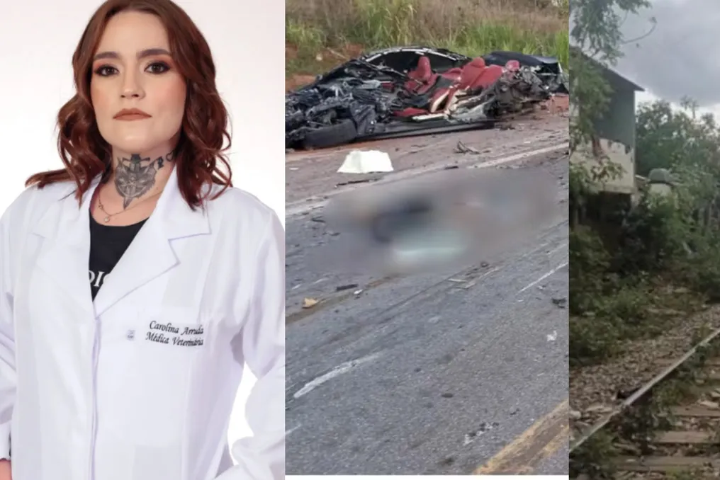 Advancement in Veterinary Medicine, Fatal Road Accident on BR-262, and Suspension of Eviction for 90 Families