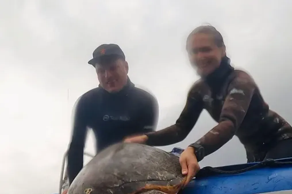Crocworld Center to Host Lecture on Sea Turtle Life Along the KwaZulu-Natal Coast