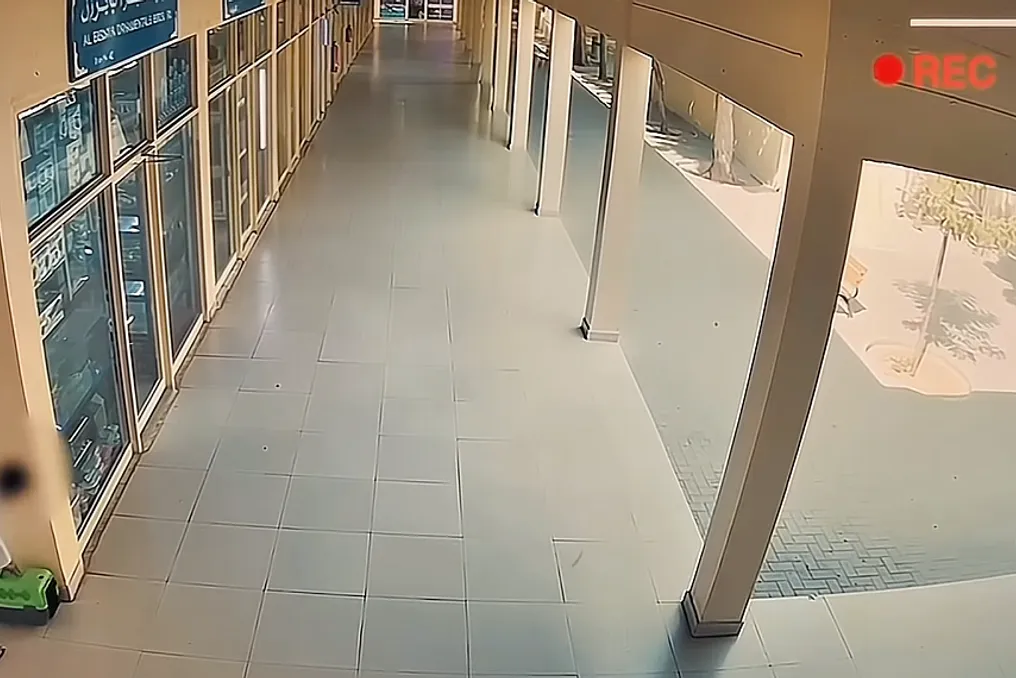Sharja munitsipaliteti uy hayvonlarini noqonuniy tashlash haqida ogohlantirdi, bozorda qoldirilgan holatlardan soʻng
