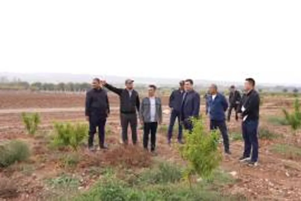 14 thousand hectares of intensive orchards are being created in Fergana