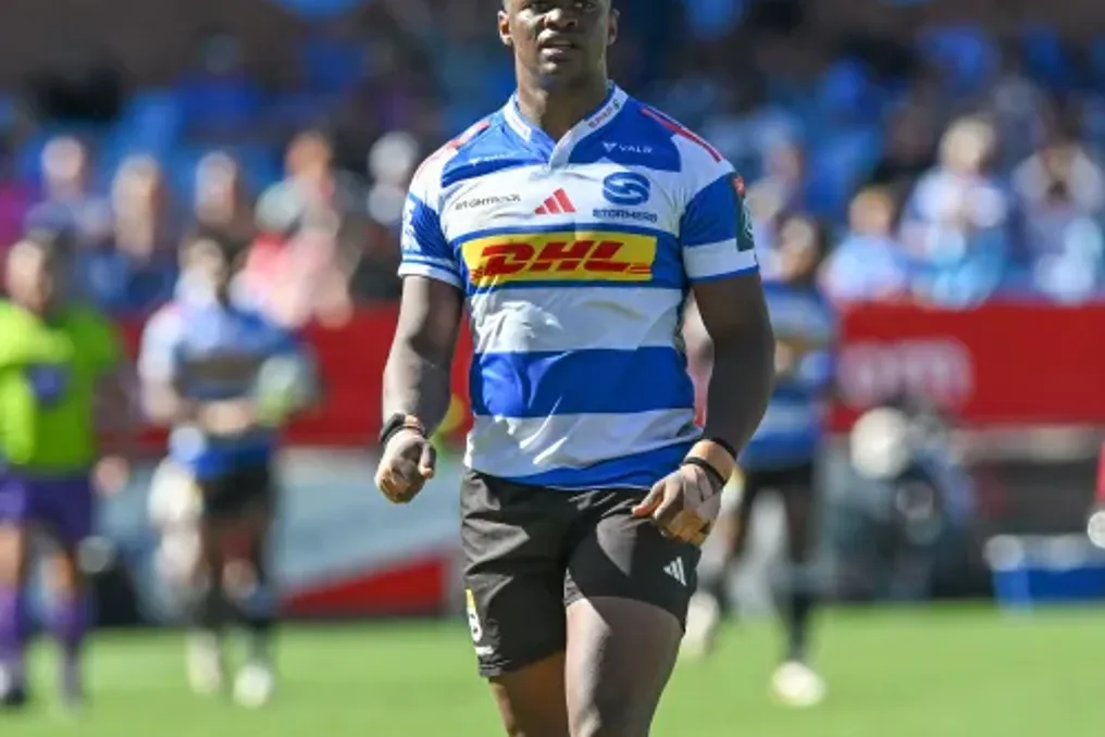 John Dobson supports Warwick Gelant despite Stormers' selection against Sharks