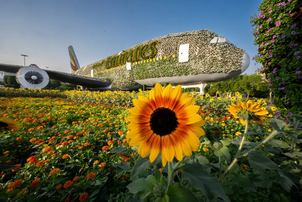 Dubai Miracle Garden opens for new season with 200 million flowers and weekly themed events
