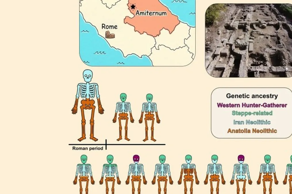 Tadqiqot Amiterndagi qadimgi aholining Sharqiy dengiz boʻyidagi ildizlarga ega ekanligini koʻrsatdi