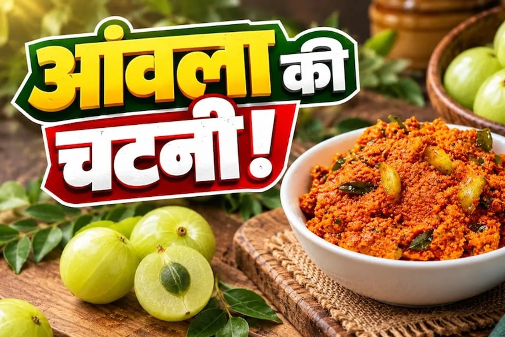 Amla Pachadi Recipe: How to Make Spicy Amla Sauce in Andhra Style in 10 Minutes