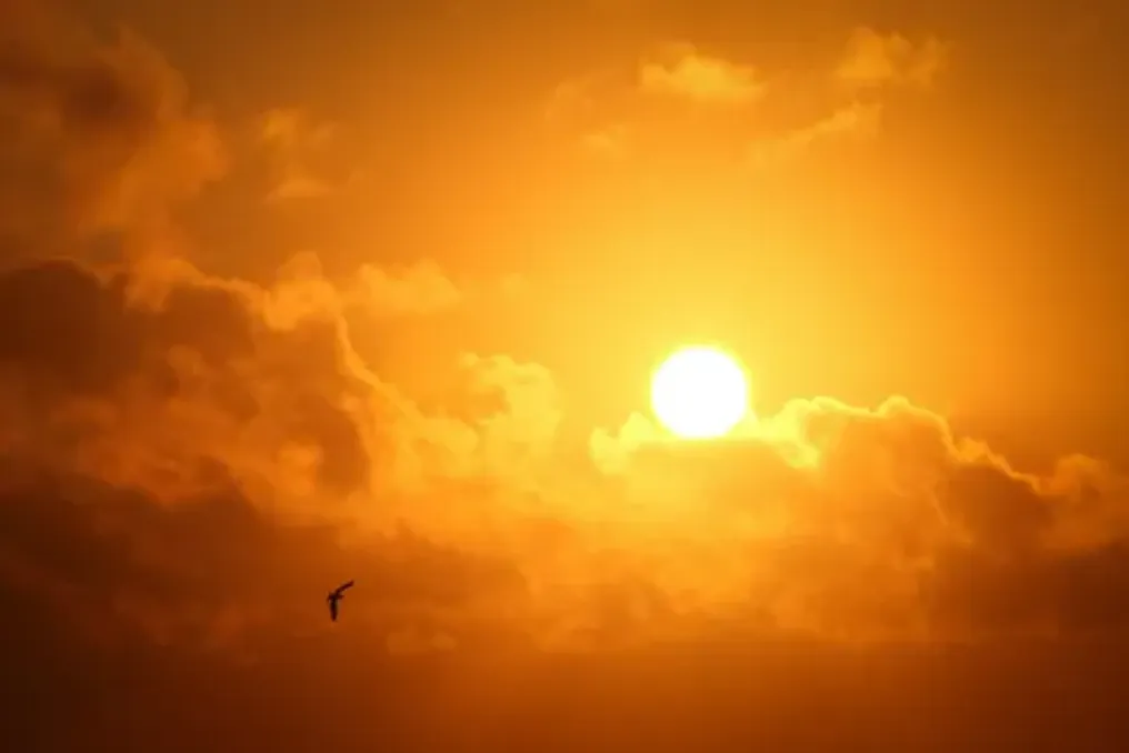 Heatwave continues in South Africa amid forecast of rain and thunderstorms in some regions