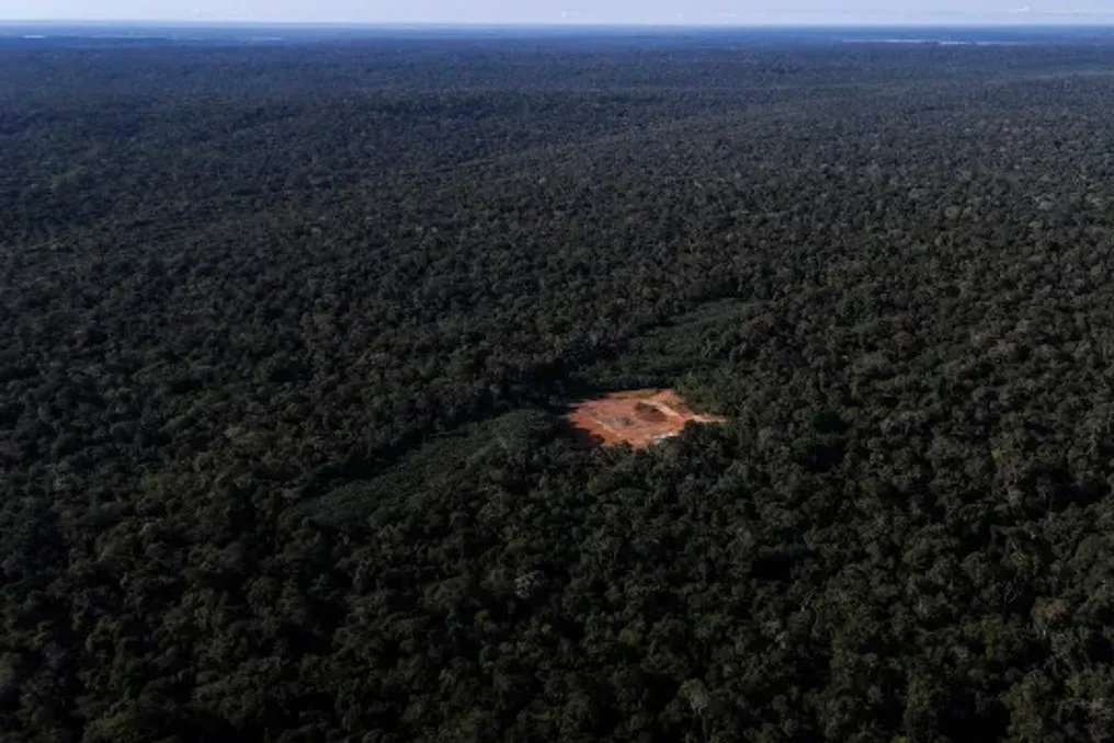 Taxa de desmatamento na Amazônia e Cerrado atinge o menor índice da série histórica brasileira