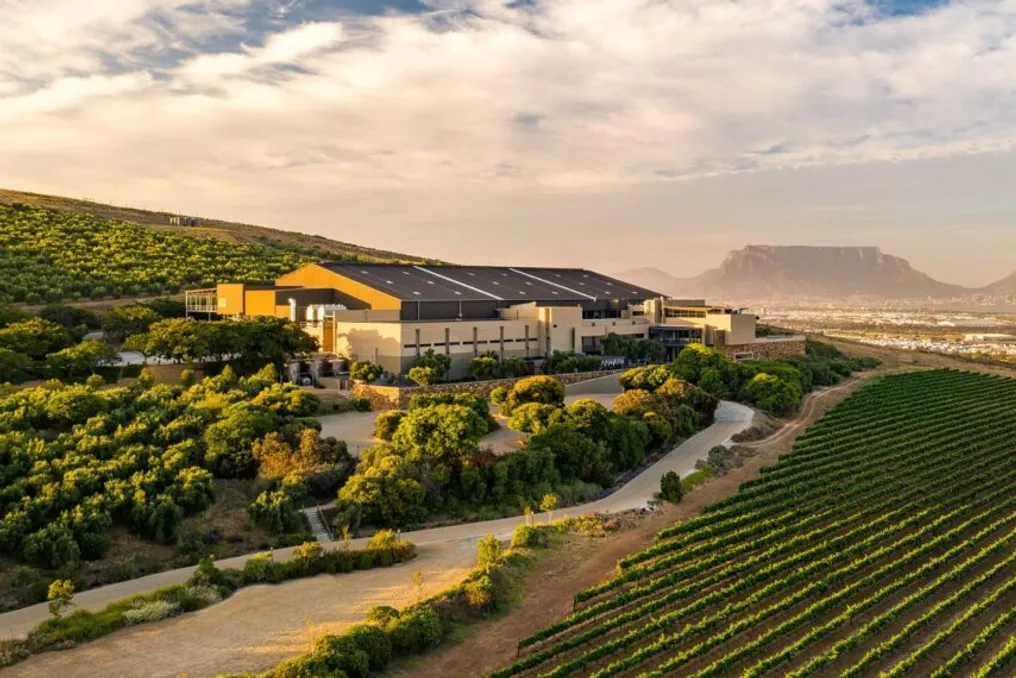 Condições iniciais favoráveis previstas para a colheita de uvas na África do Sul em 2027