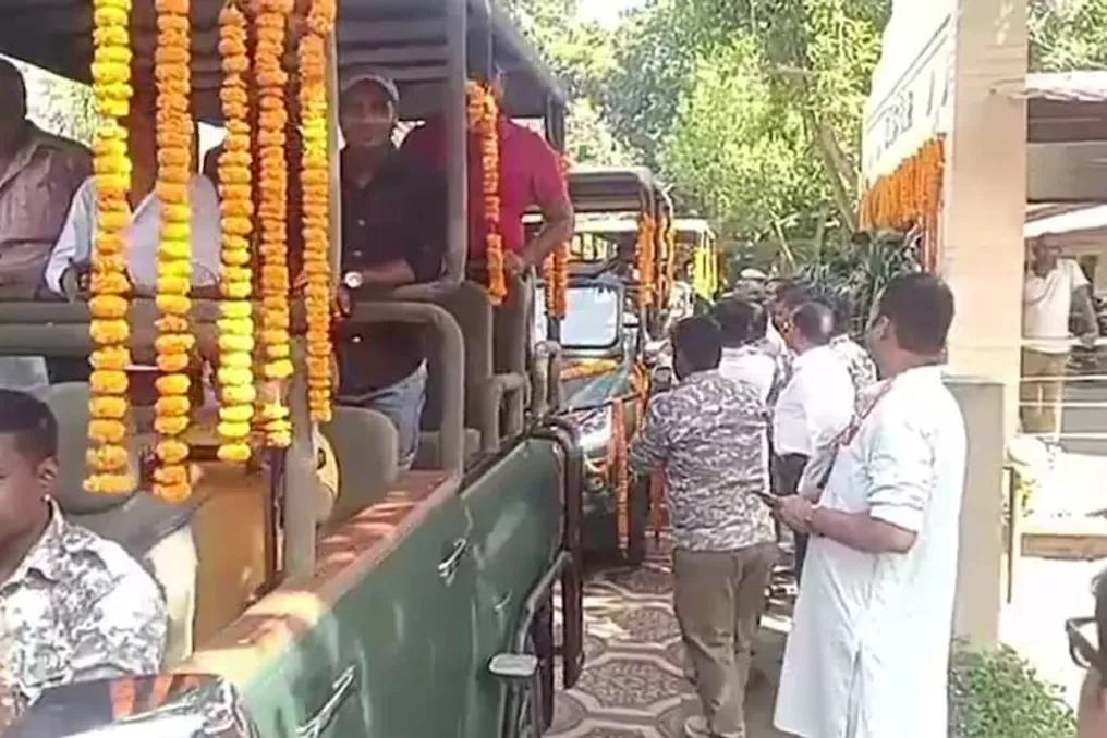 Valmiki Tiger Reserve abre portas para nova temporada; turistas invadem safári no primeiro dia