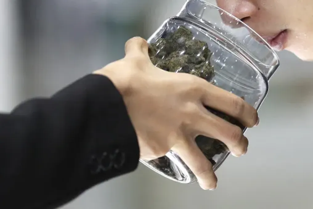 Thailand's cannabis sector shifts focus four years after decriminalization